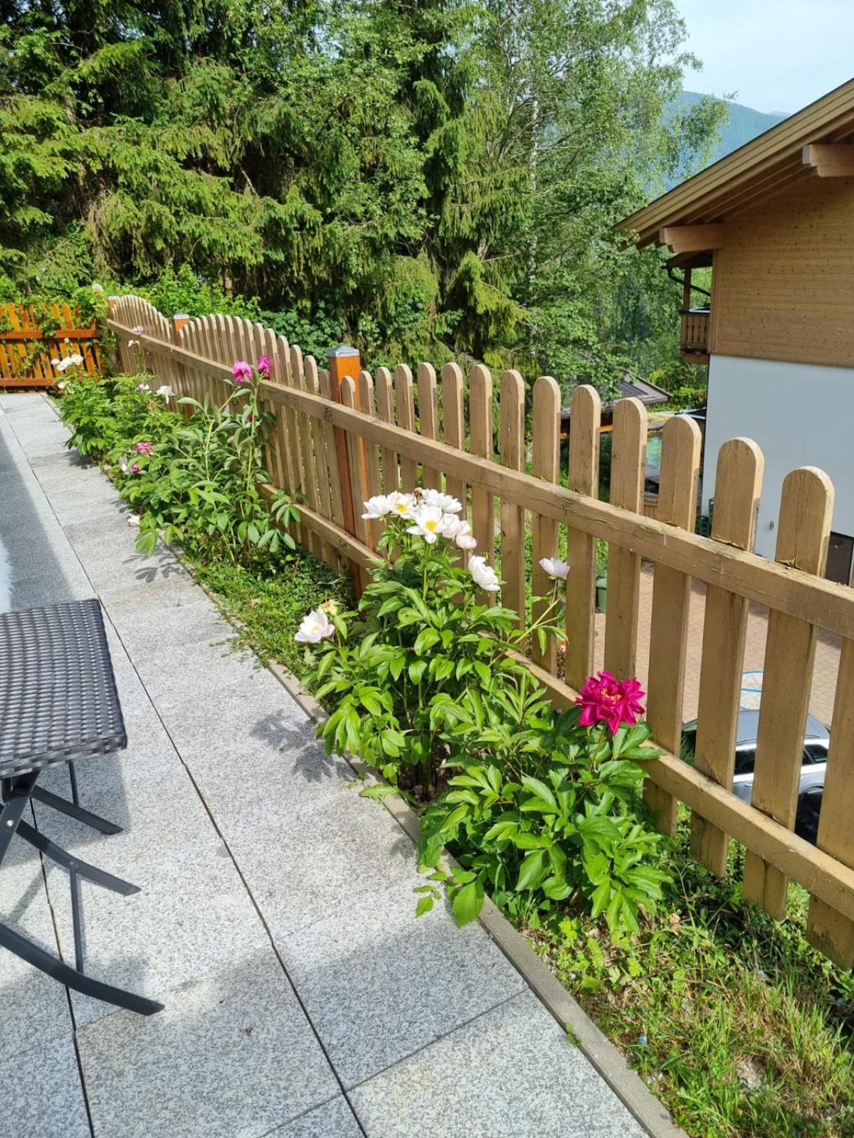 Apartment Berni *